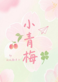 小青梅txt